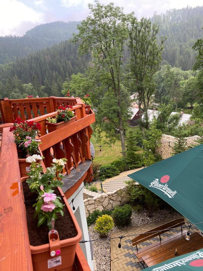 Penzion Bawaria Горни-Ломна Экстерьер фото